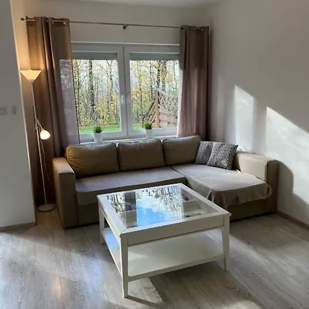 Lawendowy * أوسترون