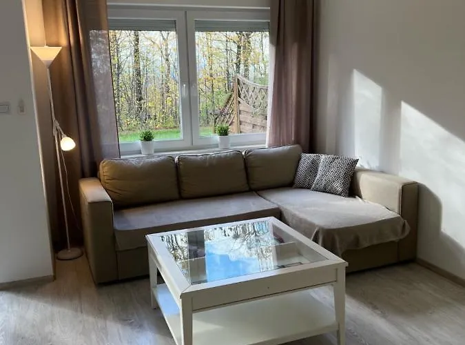 Lawendowy * Устронь